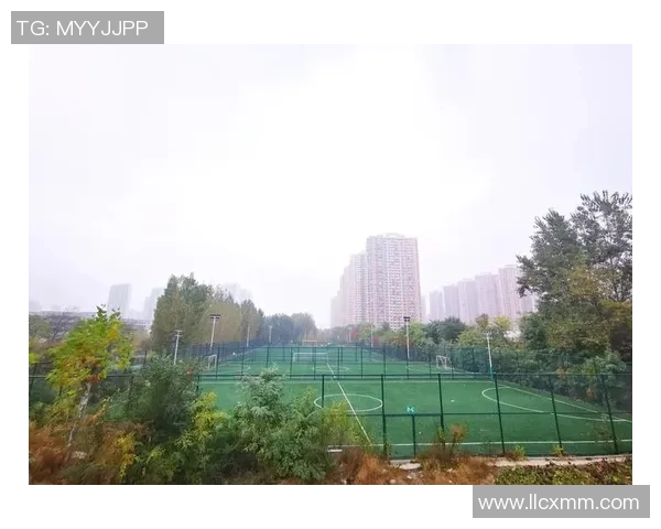 中山开发区篮球场周边设施完善运动爱好者的天堂与社区活动中心